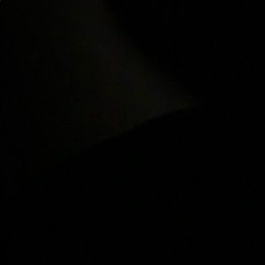 Meet your Posher, Riley